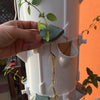 Vertical garden planters for aeroponics